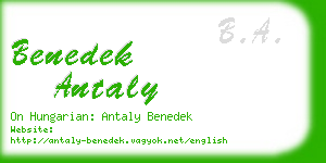 benedek antaly business card